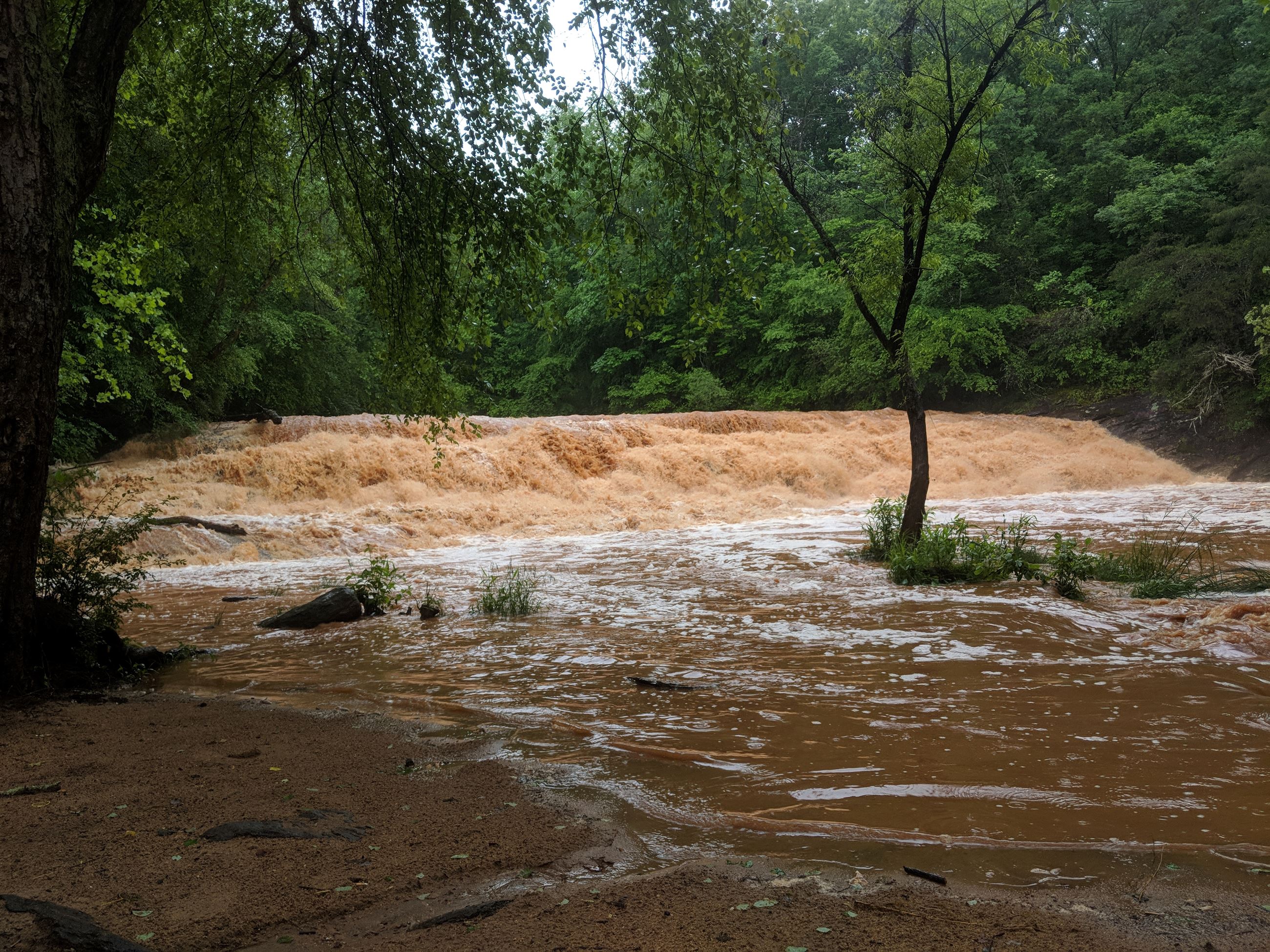 Emergency Services Image 