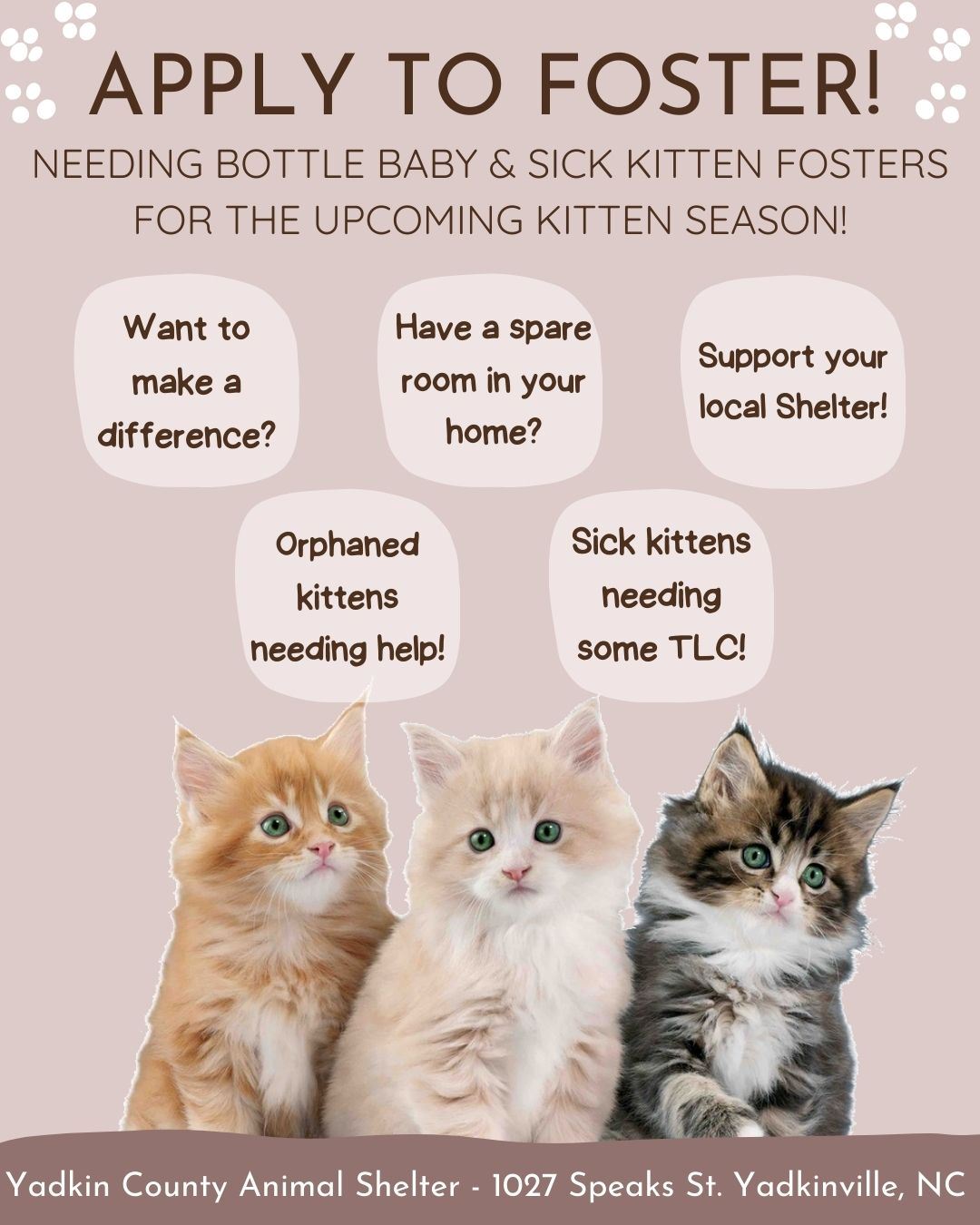 598275511_1244130991094984_3902024492805193037_n