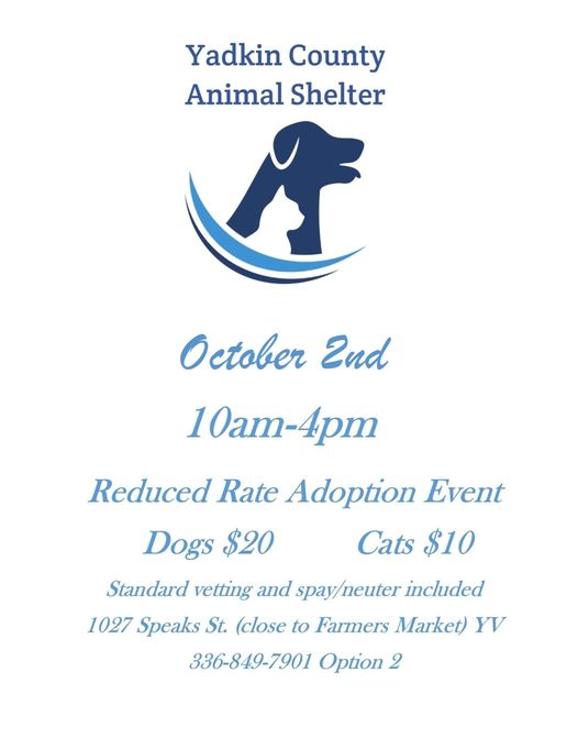 Pet Adoption Event Flyer