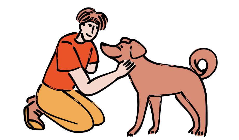 Dog Volunteer 